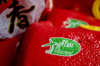 智慧财政综合解决方案供应商中科江南拟首次公开发行不超2700万股
