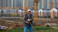 车主副驾坐AutoPilot自己开责任算谁的？