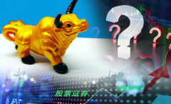 股票证券服务的一体制是什么意思？