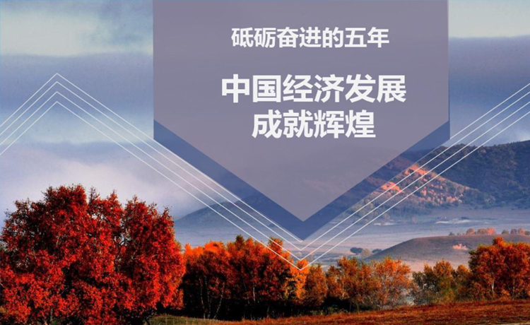 如何看待当前中国经济发展形势？