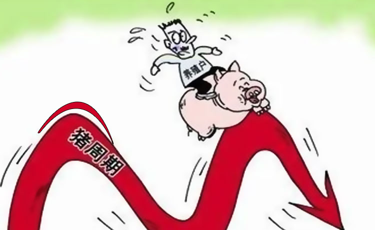 大额配资交易风险