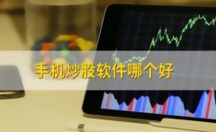 网上炒股配资用什么软件可以提高效率？