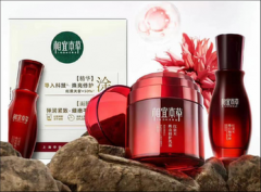 涨幅最高达3%日本多家车企宣布提价发生了什么？