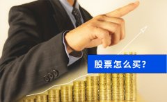 股票怎么买？(新手入门知识)