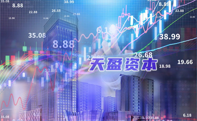 怎样加入天盈资本股票公司？