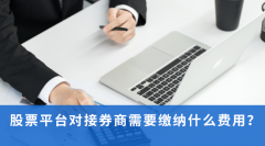 股票平台对接券商需要缴纳什么费用？