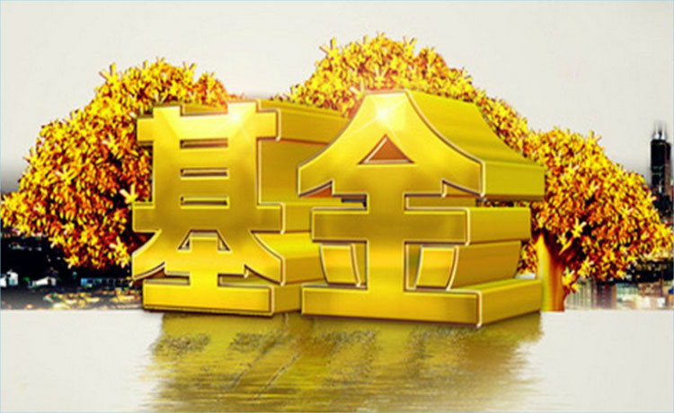 炒股和基金那个收益高？