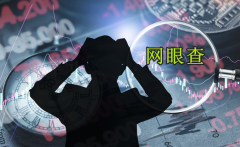 网眼查股票平台优势表现几个方面？