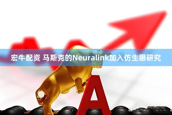 宏牛配资 马斯克的Neuralink加入仿生眼研究