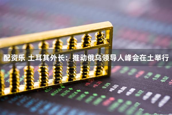 配资乐 土耳其外长：推动俄乌领导人峰会在土举行